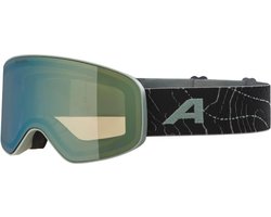 Alpina Fernie Q-Lite Junior Skibril 2025 | Groen | Categorie 2